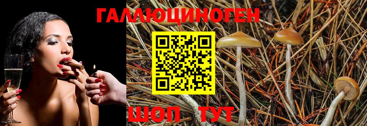 где купить наркоту  Псилоцибиновые грибы Magic Shrooms  Вход с VPN  Лянтор 